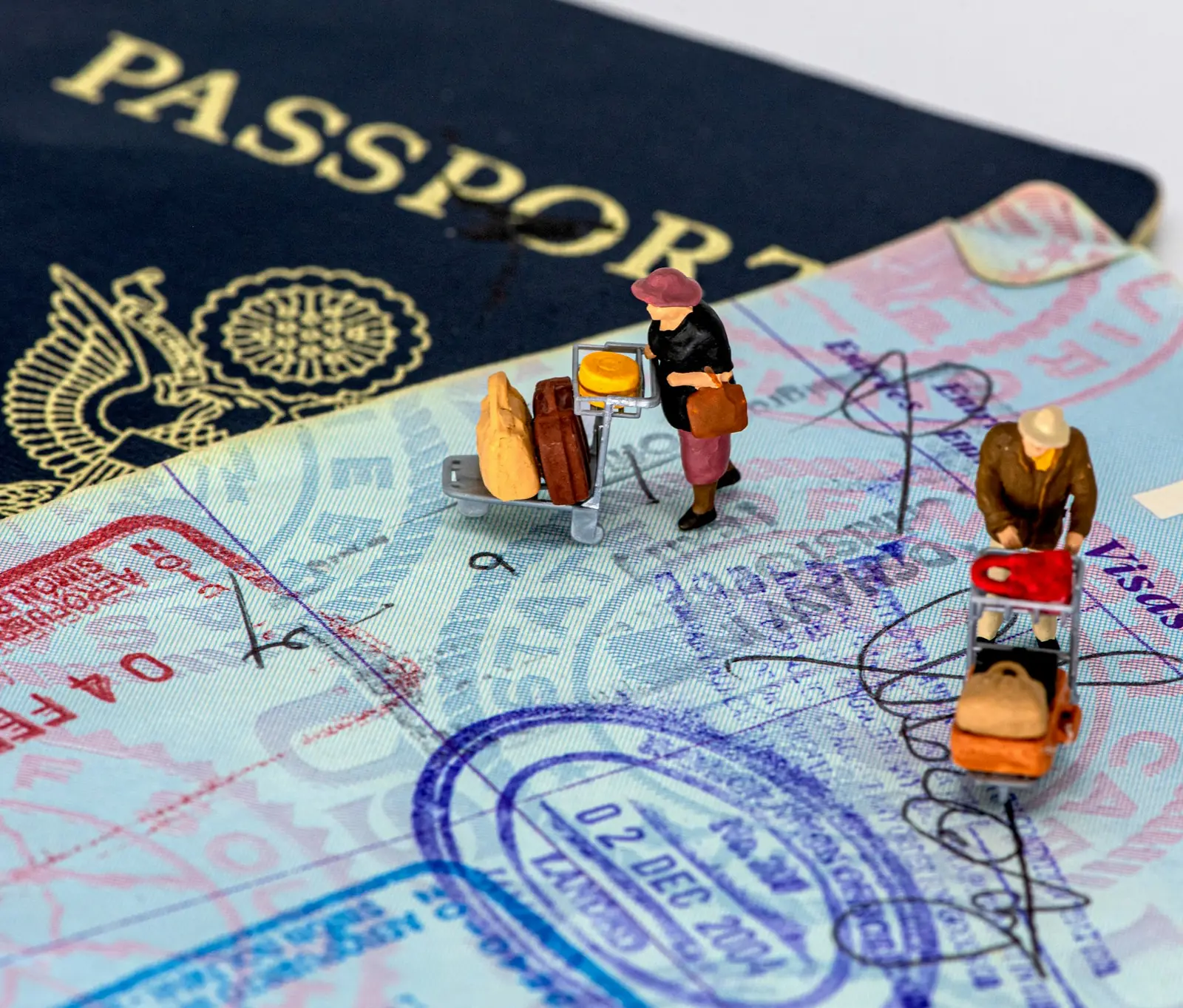 Immigration Advisory